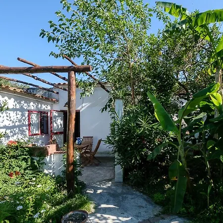 La Rosa Dei Venti Procida