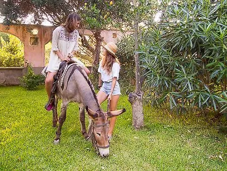 La Rosa Dei Venti Aparthotel Procida