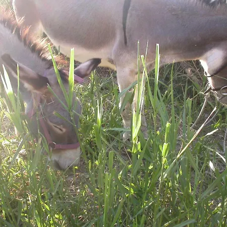 La Rosa Dei Venti Aparthotel 3*