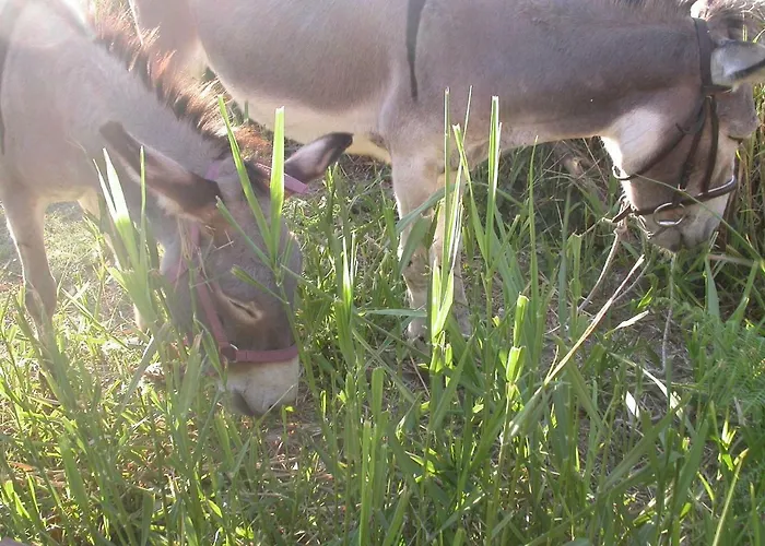 La Rosa Dei Venti 公寓式酒店 3*